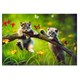 Educa Puzzle Kittyland (500 Parça)