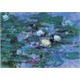 Nympheas, Monet (1500 Parça Puzzle)
