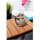 Royal Windsor Balık Şeklinde Stonware Sivi Sabunluk