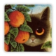 Oscar Stone Cat İn Garden Taş Tablo