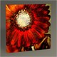 Tablo 360 Vintage Floral Tablo 30X30