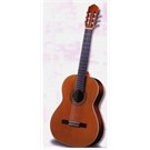 Antonio Sanchez Mod 1008 Klasik Gitar-Kılıf Hediyeli