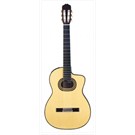 Takamine TH-90 Elektro Klasik Gitar - Kılıf Hediyeli