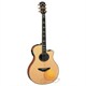 Yamaha Apx 700 Elektro Akustik Gitar