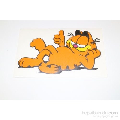 Garfield  Sticker 12 x 8 cm