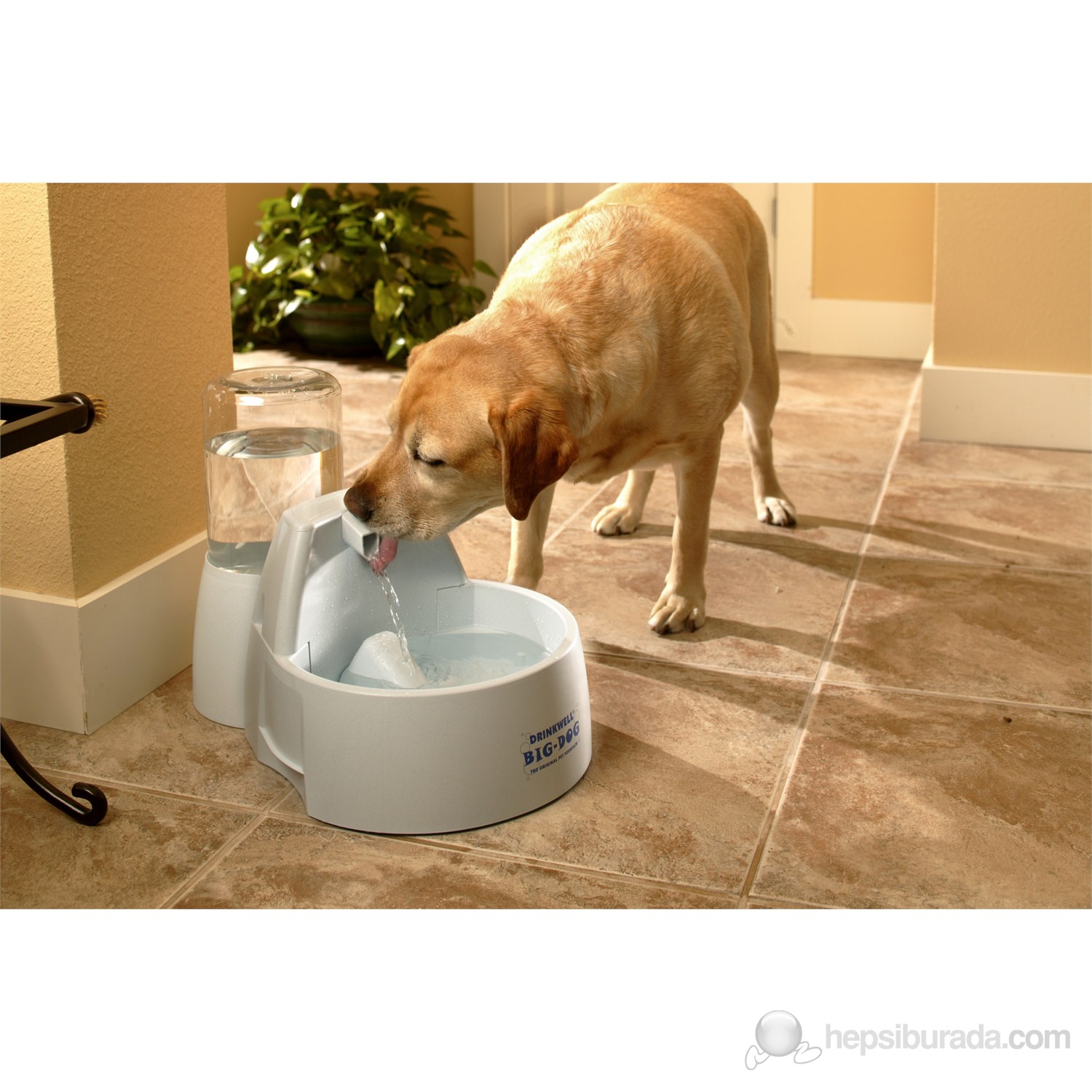 Drinkwell Büyük Irk Köpekler İçin Su Pınarı