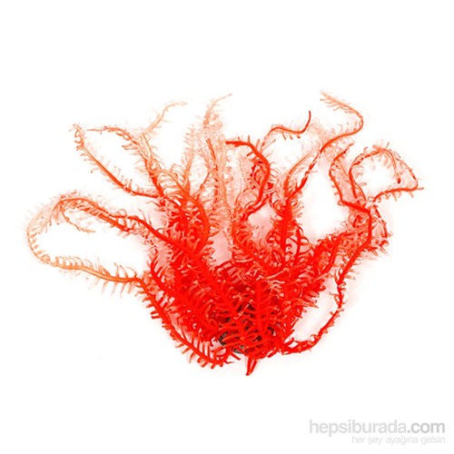 Akvaryum Dekor Glowlight Coral (Xl) Orange
