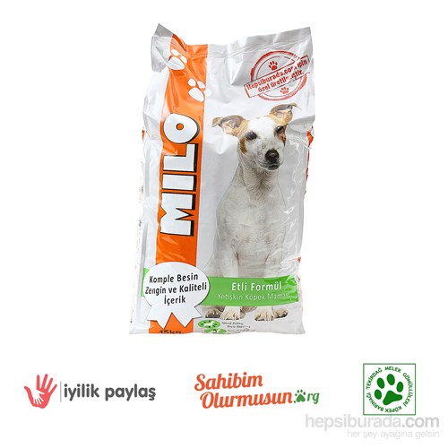 uşak köpek barınağı