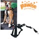 Pawise Emniyet Kemerli Köpek Tasması Large