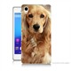 Teknomeg Sony Xperia M4 Köpek Baskılı Silikon Kılıf