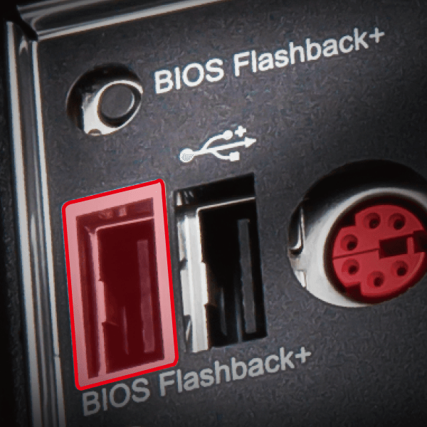 Insert dongle with BIOS file