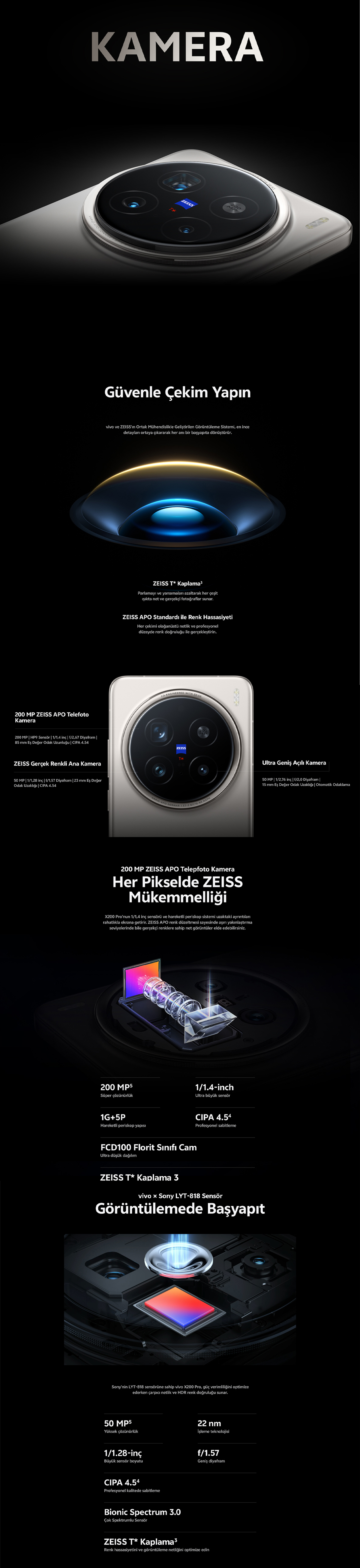 2-web.jpg