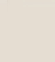 Tefal Actifry Express