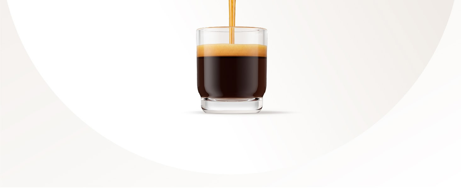 AMZ Baristina DT 03 (1)