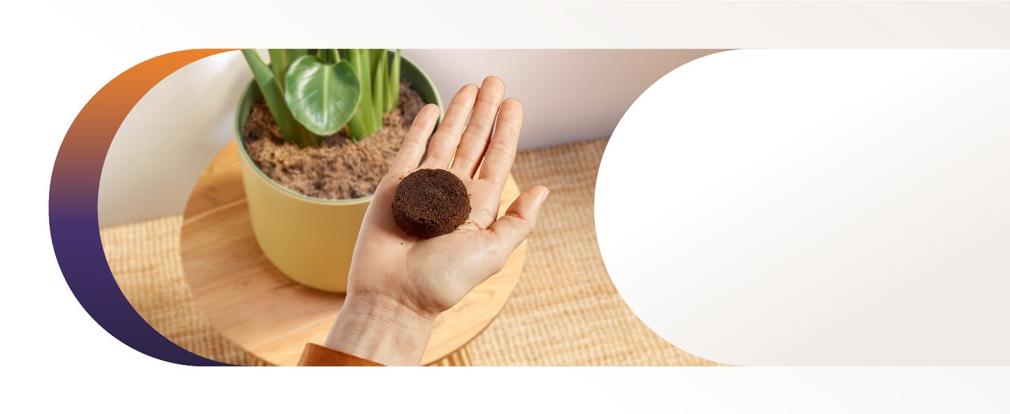 BTF Desktop Slider 6