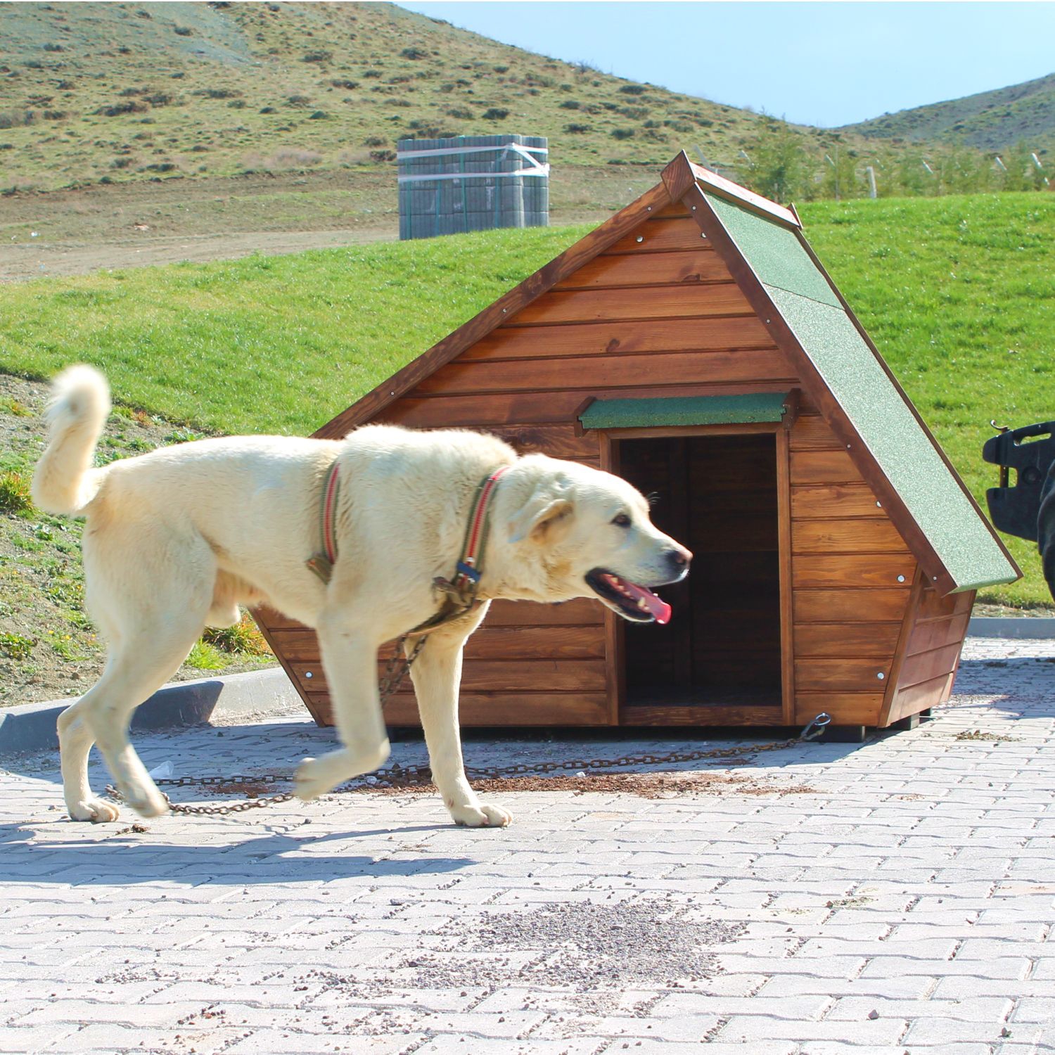 Vixpet Pencereli Köpek Kulübesi Büyük Boy Fiyatı