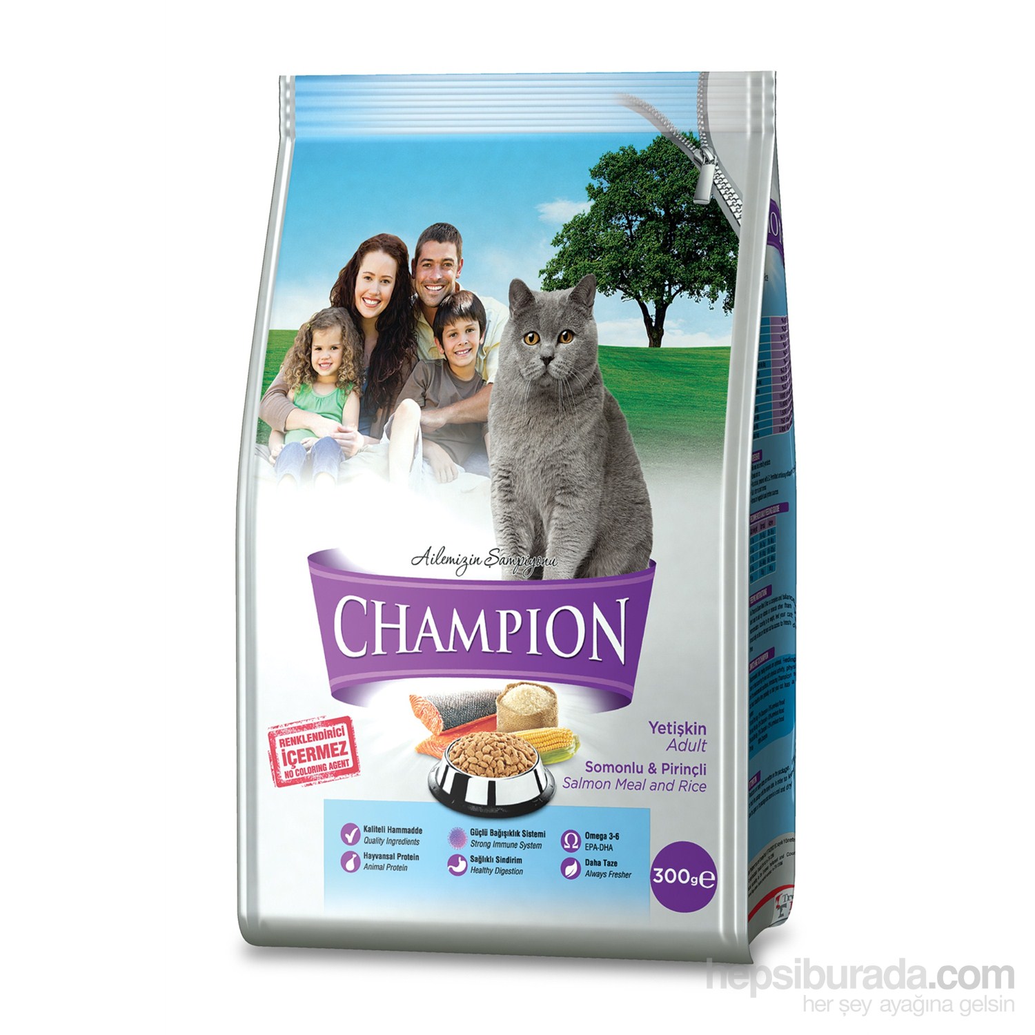 Champion Somonlu ve Pirinçli Kedi Maması 300 Gr