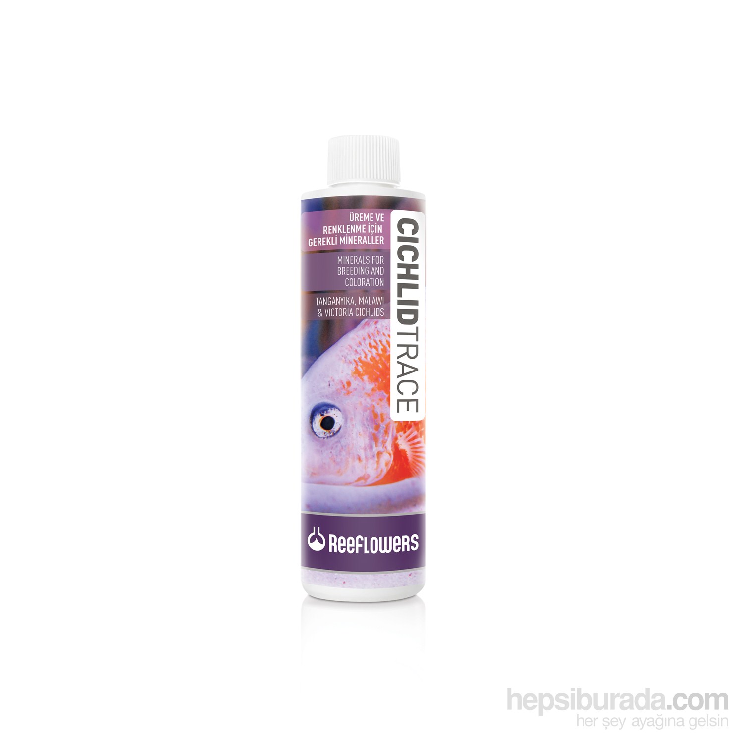 Reeflowers   Cichled Trace 500 ml