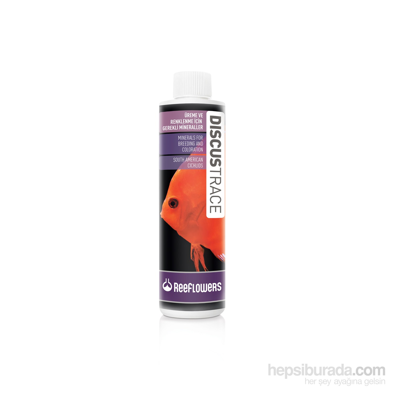 Reeflowers   Discus Trace 500 ml