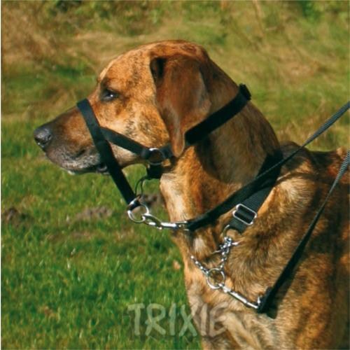 Trixie Uzman Köpek Eğitim Tasması L-XL 37cm