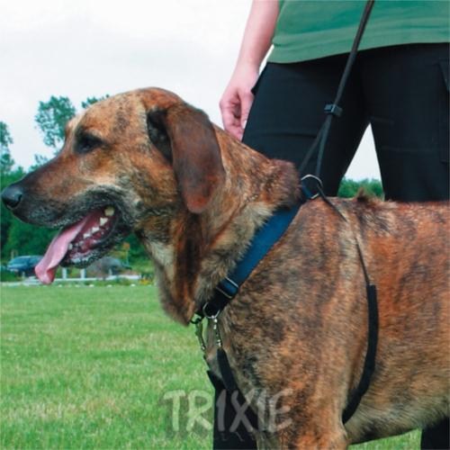 Trixie Köpek Yürüme Eğitim Tasması L45-65cm 25mm