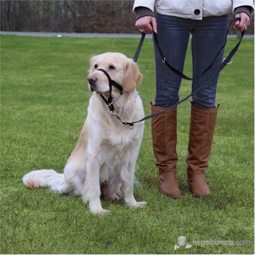 Trixie Uzman Köpek Eğitim Tasması XL-Kısa 40cm