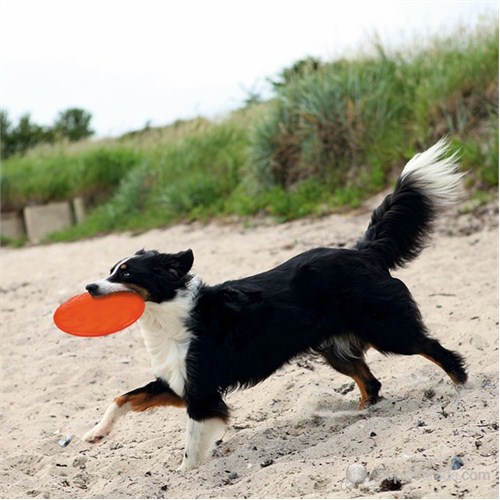 Trixie köpek Yüzen Termoplastik Kauçuk Frizbi 18cm