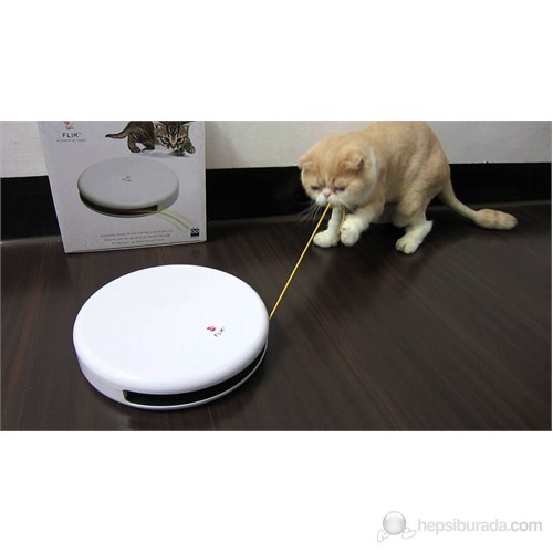 Froli Cat Flik Interactive Kedi Köpek Oyuncak
