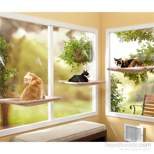 Pet Zoom Kedi Pencere Yatağı