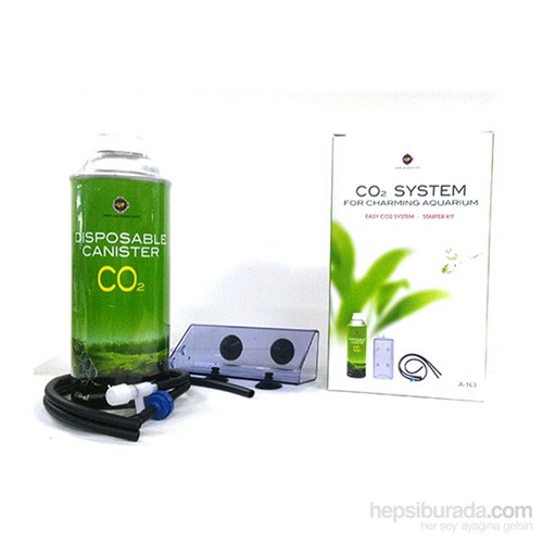 A-163 Co2 System