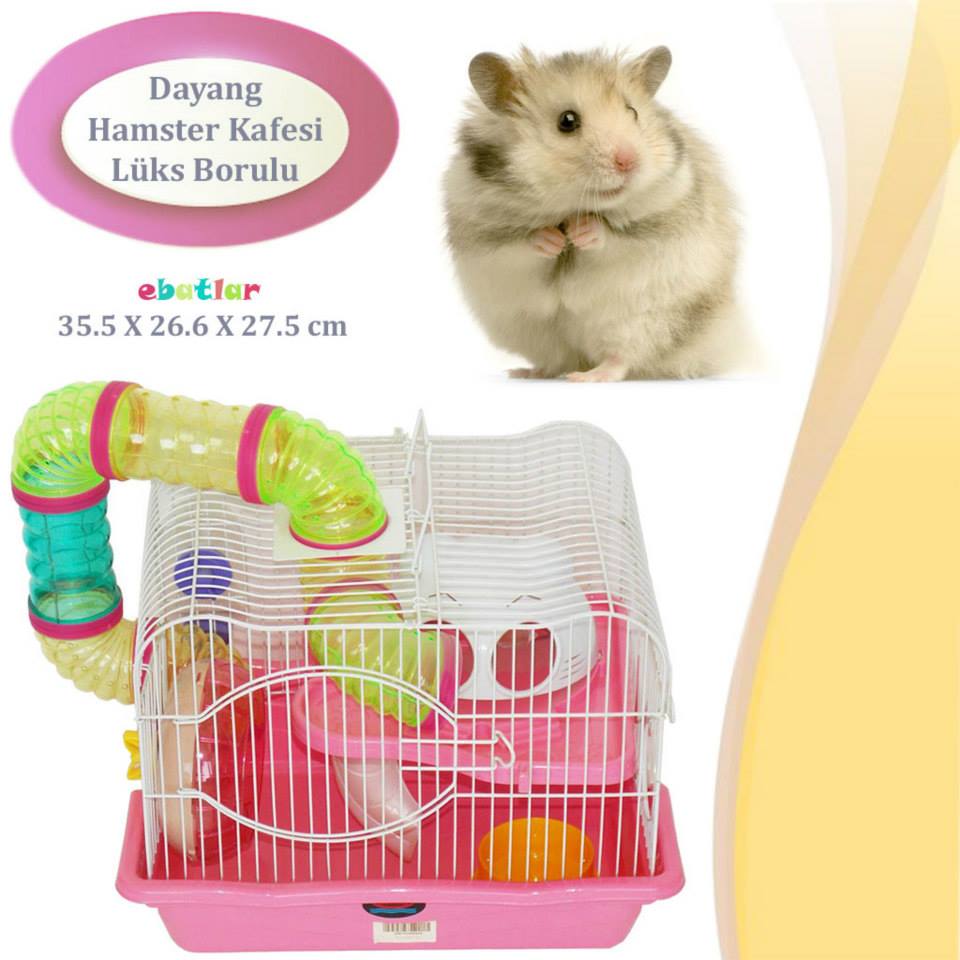 Dayang перевод. Hamster Kafesi Borulu.