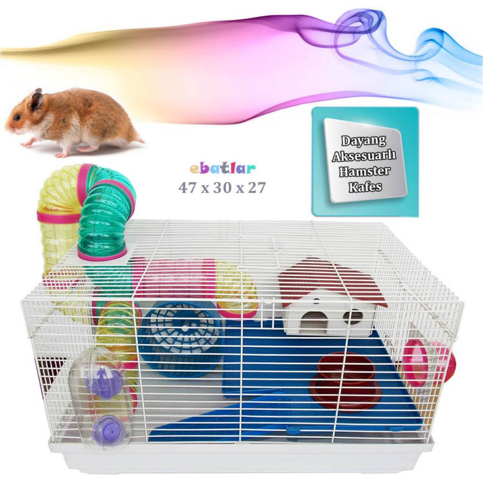 Nft collection launch hamster