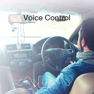 Voice Control