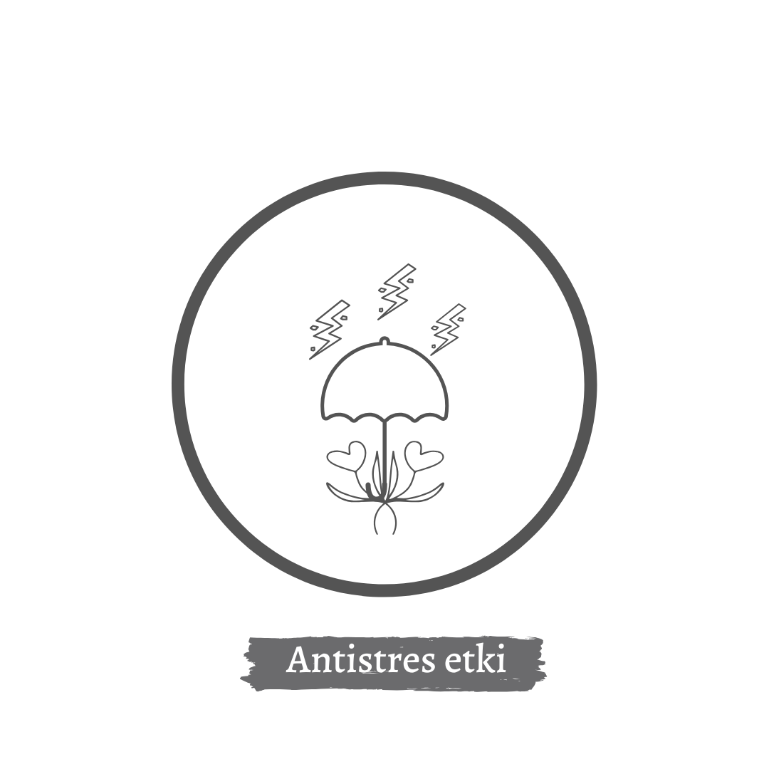 anti stres