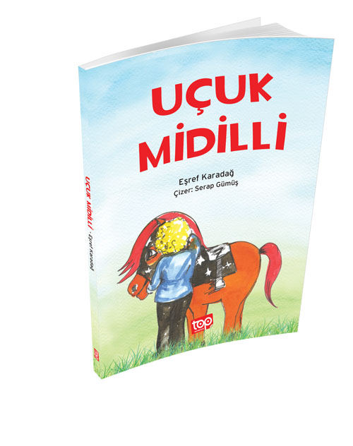 ucuk_midilli_3D.jpg