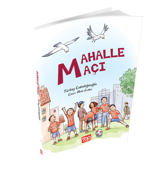 mahalle_maci_3D.jpg