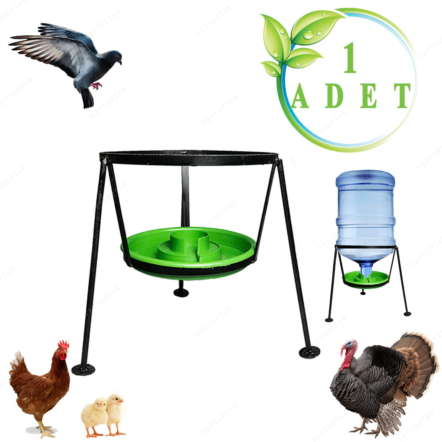 Endiket Damacana Tavuk Sulugu Buyuk Canakli Guvercin Hindi Fiyati