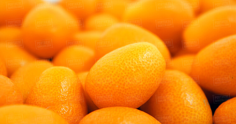 Kumkuat