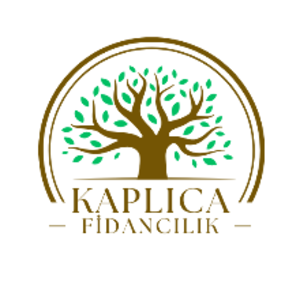 group-circle