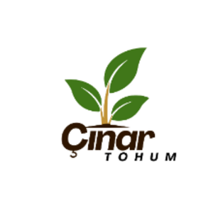 group-circle