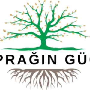 group-circle