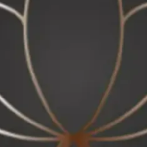 group-circle