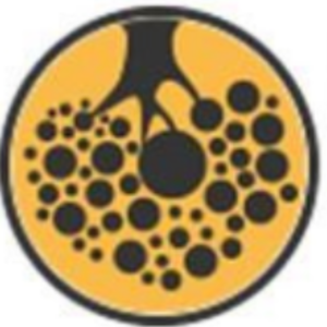 group-circle