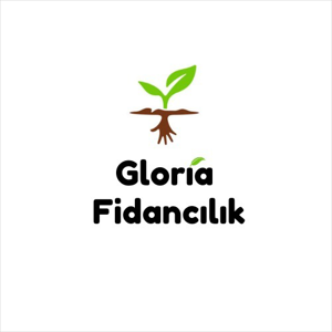 group-circle