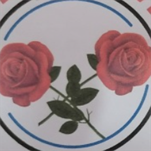 group-circle