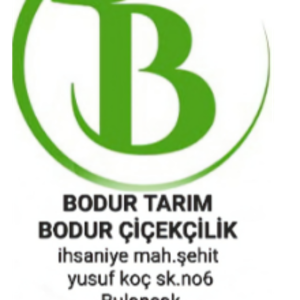 group-circle