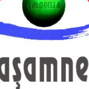 group-circle