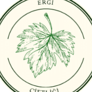 group-circle