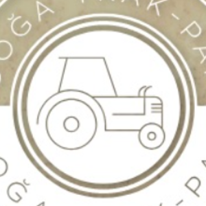 group-circle