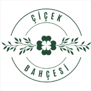 group-circle